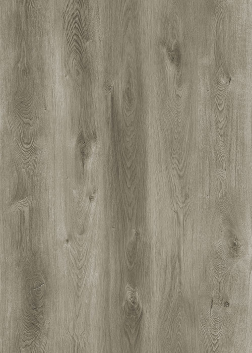 CC005s