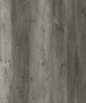 CC011 Regent